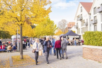 People enjoy an autumn day in a street café under golden trees, Urschelherbst street festival,