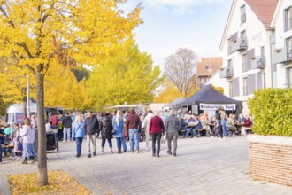Busy street festival with lots of people, autumn trees and buildings in the background,