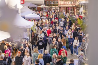 Large crowd at a market in a sunny old town, Urschelherbst street festival, Nagold, Germany