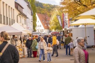 Busy street with families and stalls in an old town under autumn trees, Urschelherbst street