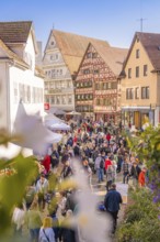 Large crowd at a market in the old town, surrounded by sunny half-timbered houses, Urschelherbst