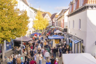 A long market street full of people in autumn surrounded by half-timbered houses and yellow trees,