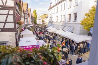 Lively market scene with tent stands and lots of people in a festive atmosphere, Urschelherbst