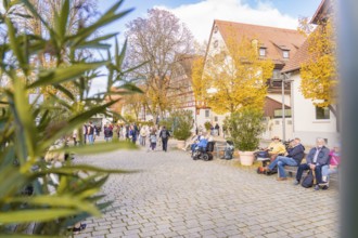 People enjoy a quiet autumn day in the park on benches along a paved path, Urschelherbst street