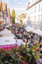Bird's eye view of a lively market scene with lots of people and white tents, Urschelherbst street