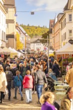 A lively autumn market attracts many visitors to the city center, Urschelherbst Street Festival,