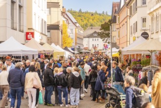 A lively shopping street with market stalls and an autumnal atmosphere, Urschelherbst Street