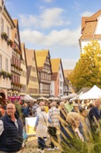 A large crowd enjoys a sunny market day in the old town, Urschelherbst street festival, Nagold,
