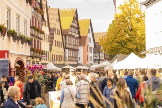 Market visitors stroll between historic buildings and stalls, Urschelherbst Street Festival,