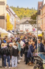 Crowded market street with lots of people and colorful autumn trees, Urschelherbst street festival,