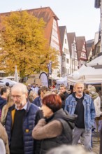 Street scene with people and traditional houses surrounded by autumn trees, Urschelherbst street