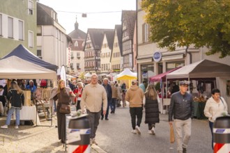 Lively market scene in a city with historic buildings and an autumn tree, Urschelherbst street