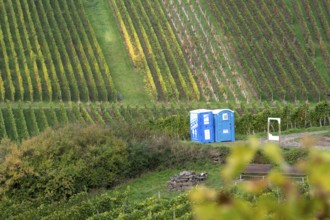 Dixi toilets, Toi-Toi toilets in the vineyard in the Ahr Valley, next to a break area, near