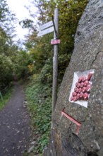 Guide to the red wine hiking trail in the Ahr Valley, logo, here near Altenahr,