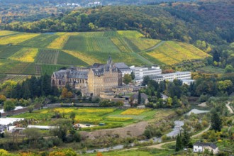 Kalvarienberg Abbey, former monastery, now high school and secondary school and boarding school,