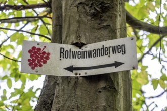 Guide to the red wine hiking trail in the Ahr Valley, logo, here near Altenahr,