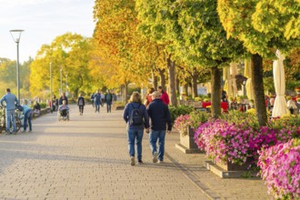 People walk along a blooming promenade in sunny autumn weather, Überlingen, Lake Constance, Germany