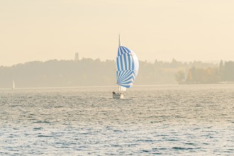 A sailboat with blue and white sail on a calm lake under a gentle sky, Überlingen, Lake Constance,