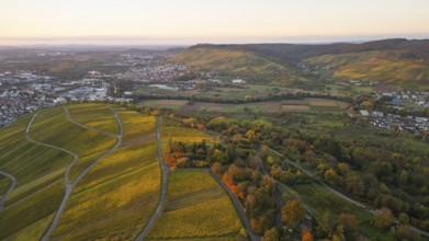 Golden autumn over the vineyards of Weinstadt Beutelsbach, Baden-Württemberg, Germany