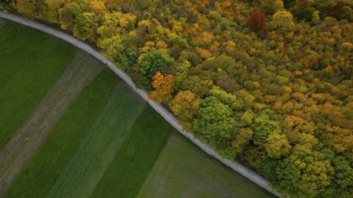 Indian summer in the Swabian Jura — autumn colors between forest and field