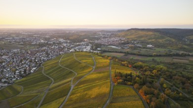 At sunset and golden autumn over the vineyards of Weinstadt Beutelsbach, Baden-Württemberg, Germany