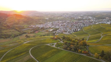 Sunset and golden autumn over the vineyards of Weinstadt Beutelsbach, Baden-Württemberg, Germany