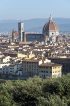 Santa Maria del Fiore Cathedral, left Campanile di Giotto, Florence, Tuscany, Italy