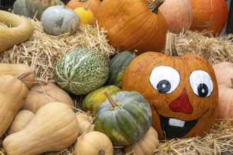 A pile of pumpkins on straw bales, some painted with a cheerful face, creates a colourful and fun