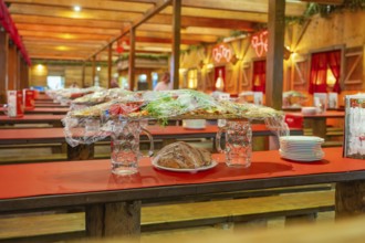 Covered food and beer mugs on red tables in a traditionally decorated tent, Volksfest Cannstatter
