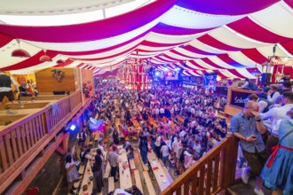 View of a crowded and festively decorated marquee during the Oktoberfest, Volksfest Cannstatter