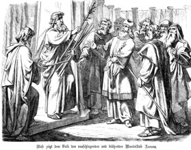 Moses shows the people the sprouting and blossoming almond staff of Aaron, group of men, almond