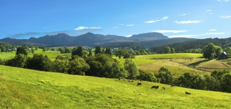 A scenic view of green fields with grazing animals, surrounded by mountains under a clear blue sky,