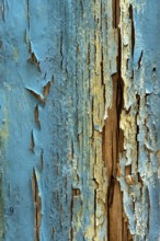 Faded blue wood shows signs of age with peeling paint, highlighting the textures and patterns