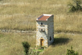 Dovecote in Limagne plain, Puy de Dome department, Auvergne Rhone Alpes, France