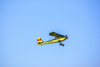 A vintage Potez 60 Sauterelle aeroplane with the registration HB-SPM during a flight demonstration