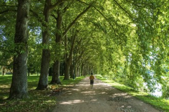 Vichy. Walking through a tree-lined path in a sunny park, riverside Allier on a clear day. Allier.