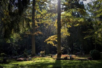 Gravesite, gravestone, graves, forest cemetery, autumn, autumnal, Stuttgart, Baden-Württemberg,