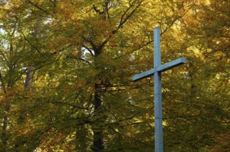Commemoration of fallen in the First World War, cross, forest cemetery, autumn, autumnal,