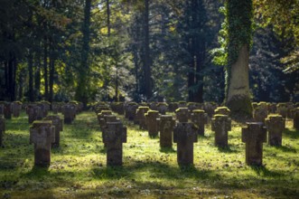 Remembrance of fallen soldiers in the First World War, war graves, graves, forest cemetery, autumn,