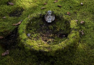 Detail, angel, angel figure on gravesite, tomb, grave moss, moss-covered, forest cemetery,