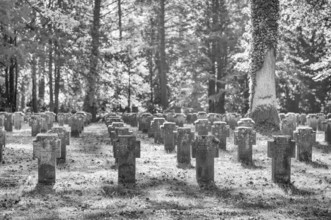 Remembrance of fallen soldiers in the First World War, war graves, graves, forest cemetery, black