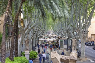 Tourists walking on La rambla a tree lined walking street with flower shops in Palma, Palma de
