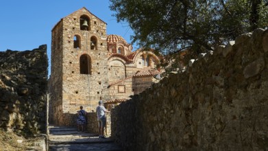 Metropolis, Metropolitan Church of Agios Dimitrios Mystras, Ornamented Byzantine church with trees