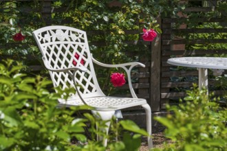 Sitting area in the garden, table and garden chair with rose blossoms, Westphalia, North