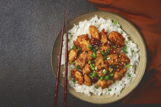 Fried chicken teriyaki with rice, green onion and sesame, homemade, no people