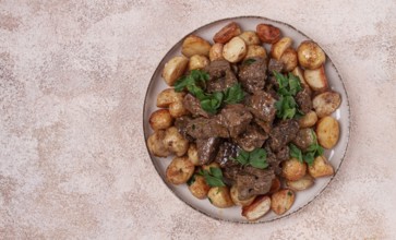 Kuyrdak, roast offal with potatoes and fresh herbs, homemade in Kazakh, no people