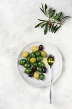 A mix of olives, a variety of Chalkidiki, verdi giganti and Kalamata, on a plate with a spoonful of
