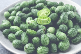 African cucumber, Mexican cucumber, mouse melon, Melothria