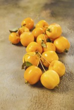 Yellow small apples, Chinese variety, scattered on the table, top view, no people