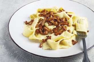 Pasta papardelle, in creamy garlic sauce, with mushrooms, traditional Italian cuisine, pasta